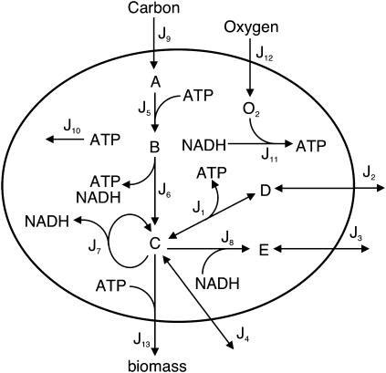 FIGURE 5