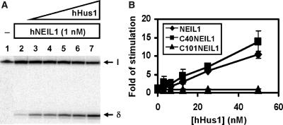 Figure 5.