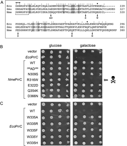 FIGURE 3.