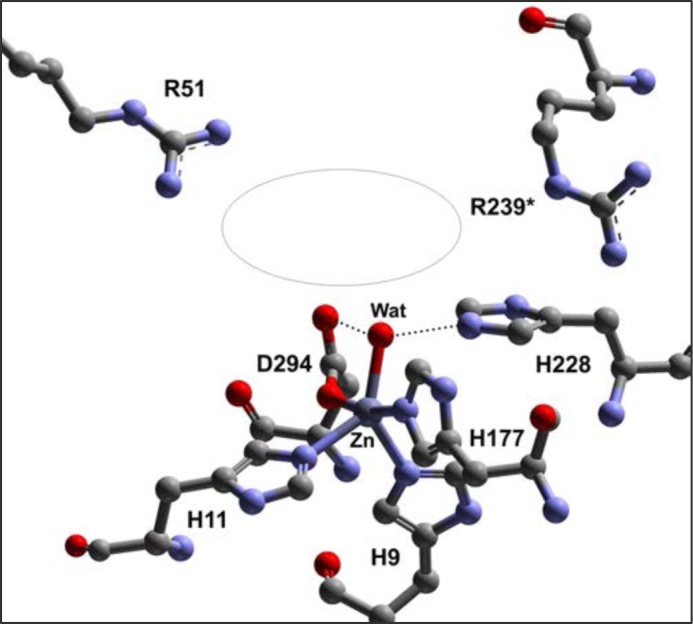 FIGURE 1.