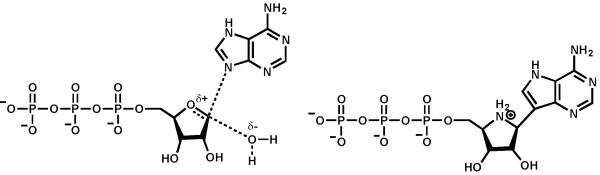 Scheme 3