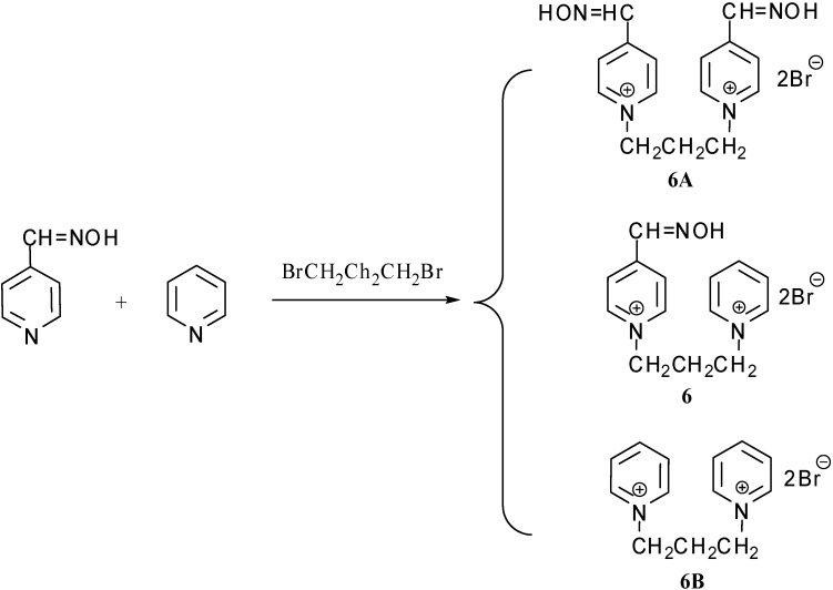 Scheme 1