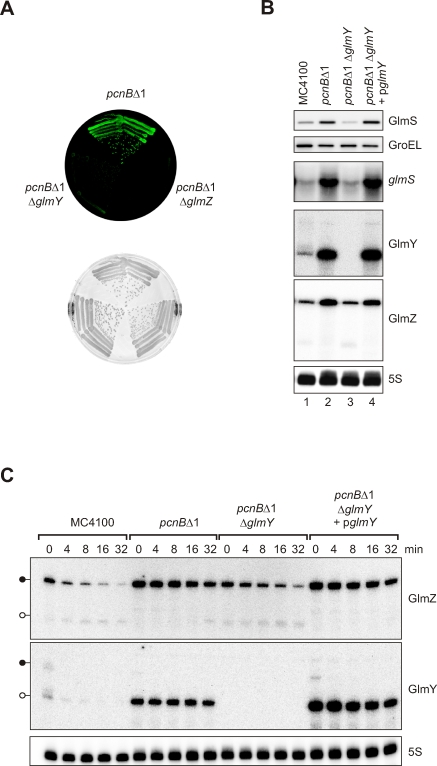 Figure 6