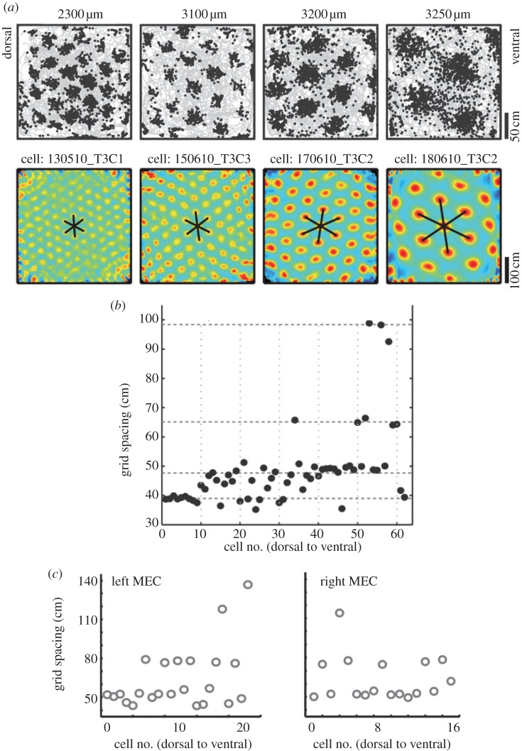 Figure 2.