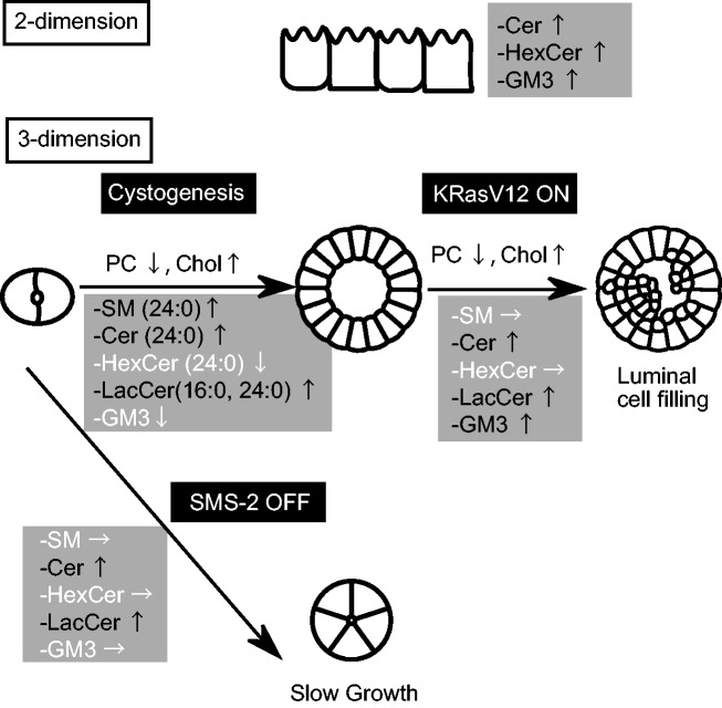 Fig. 8