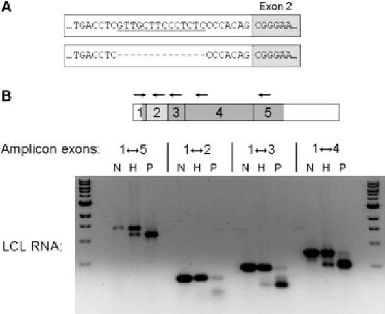 Figure 3