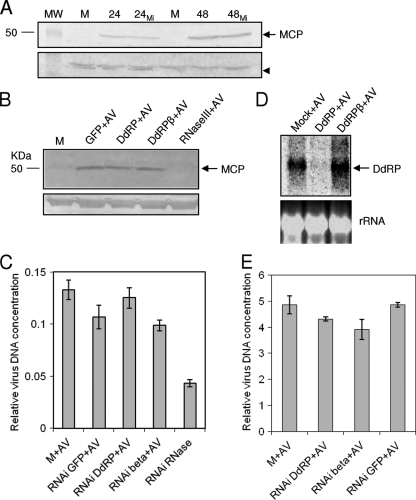 FIG. 7.