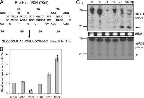 FIG. 2.