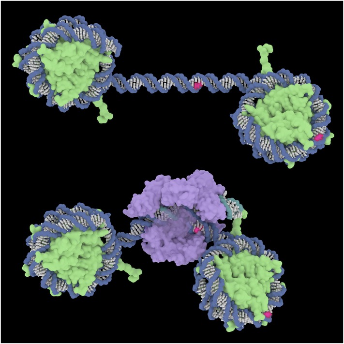 Fig. 8.