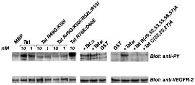 FIG. 7
