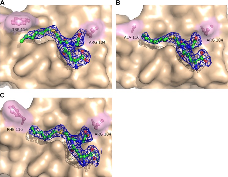 FIGURE 3.