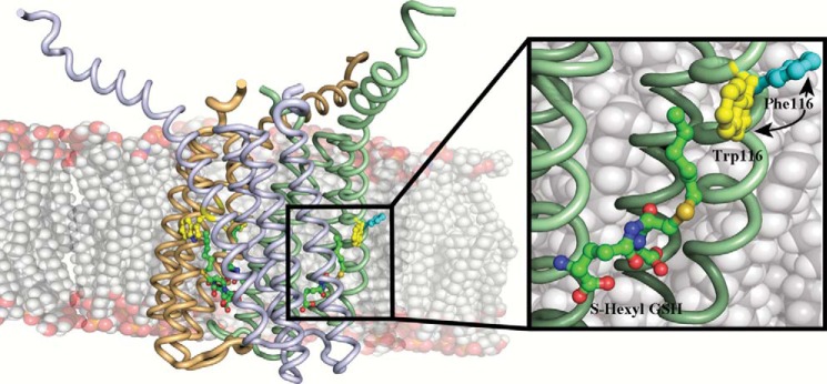 FIGURE 1.