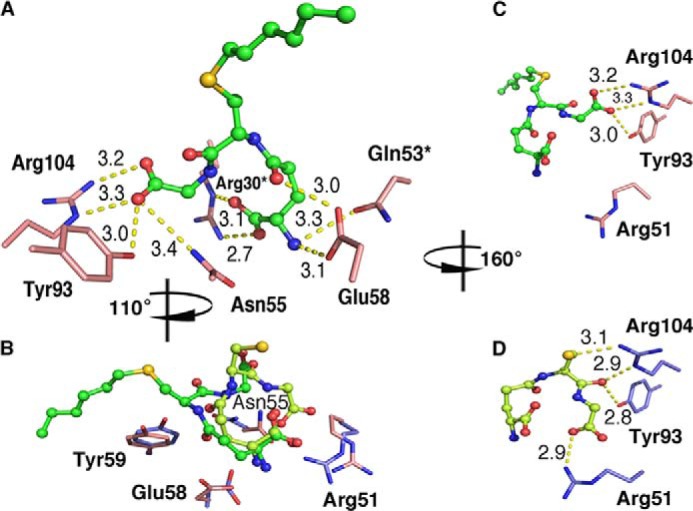 FIGURE 5.