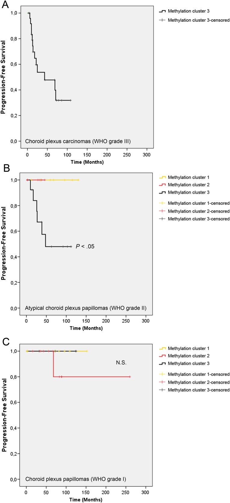 Fig. 2.