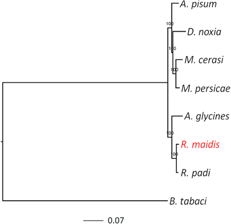 Figure 3: