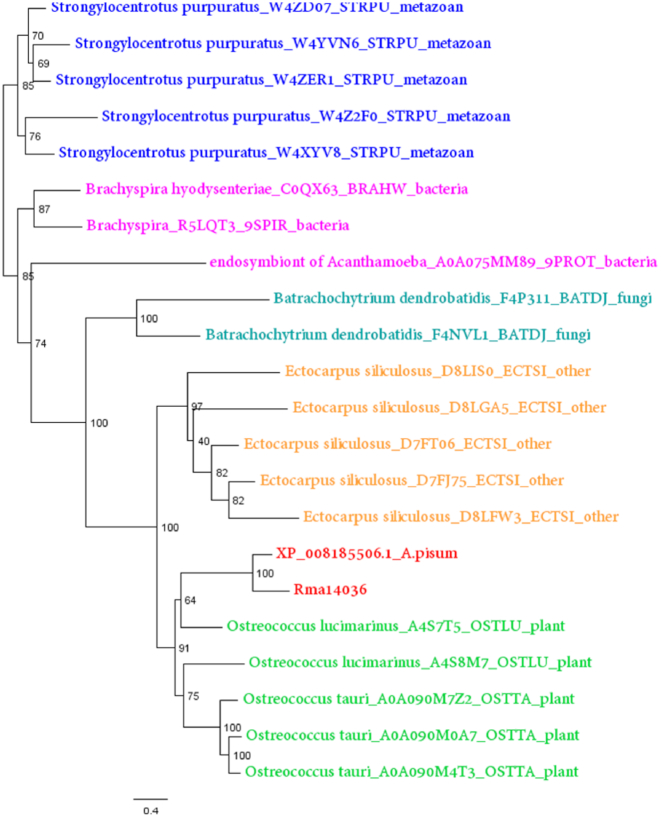 Figure 4: