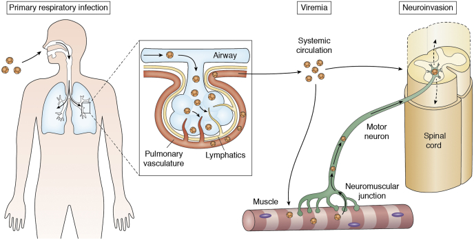 Figure 4