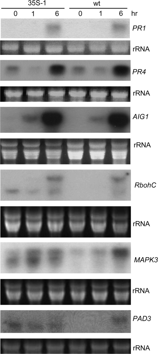 Figure 6.