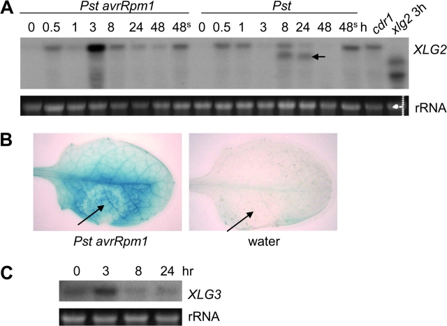 Figure 2.