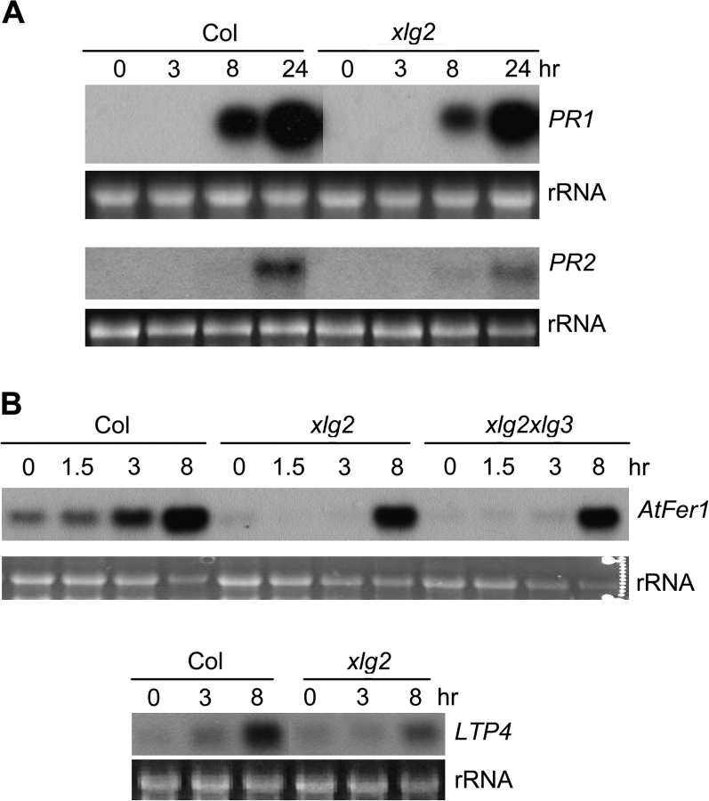 Figure 3.