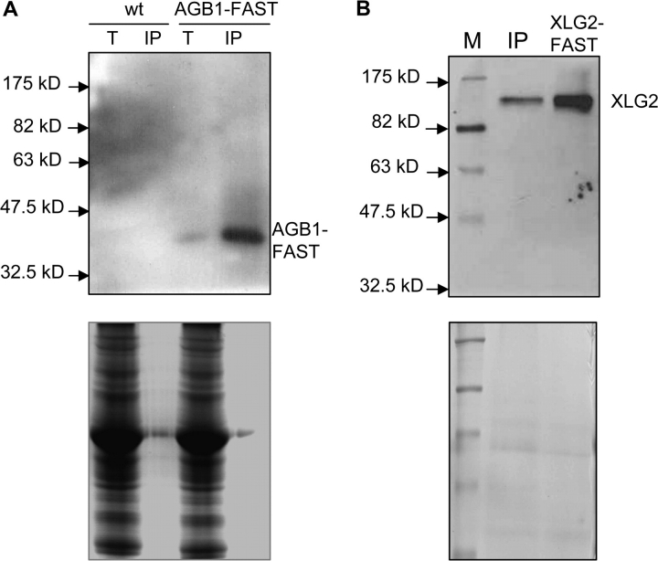 Figure 5.