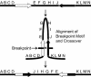 Figure 8.