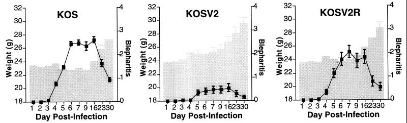 FIG. 6