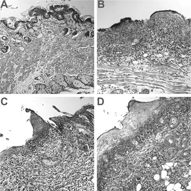 FIG. 8