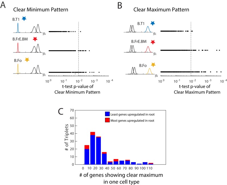 Figure 1—figure supplement 1.