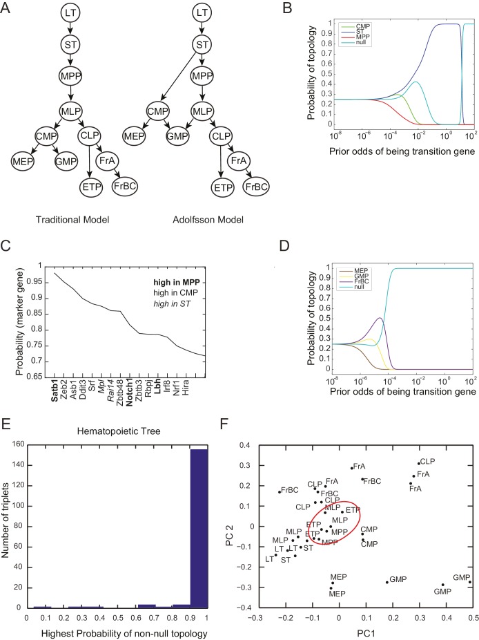 Figure 2—figure supplement 1.