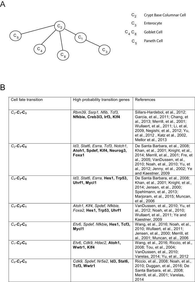 Figure 3—figure supplement 2.