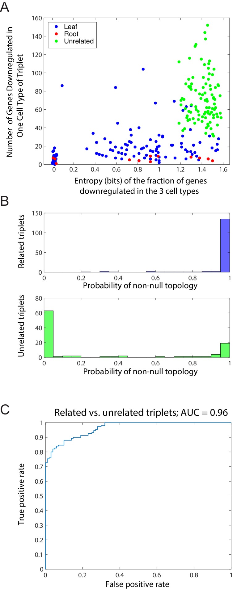 Figure 1—figure supplement 3.