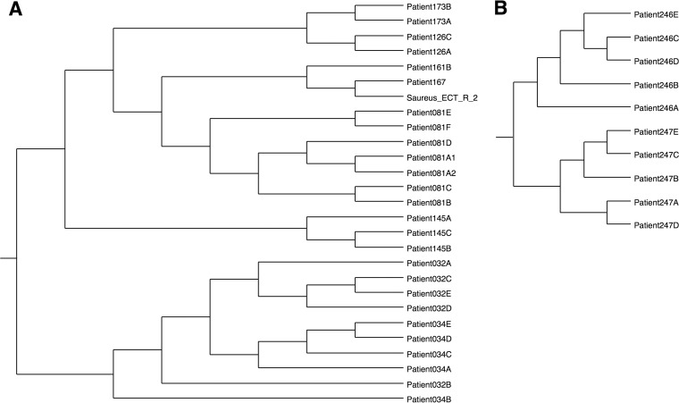 FIG 1