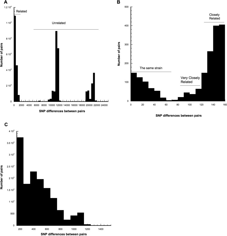 FIG 2