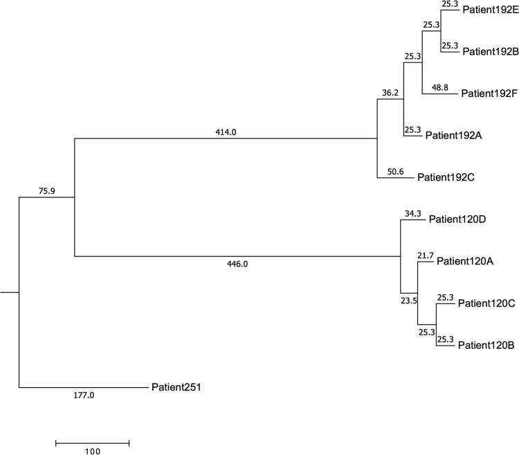 FIG 3