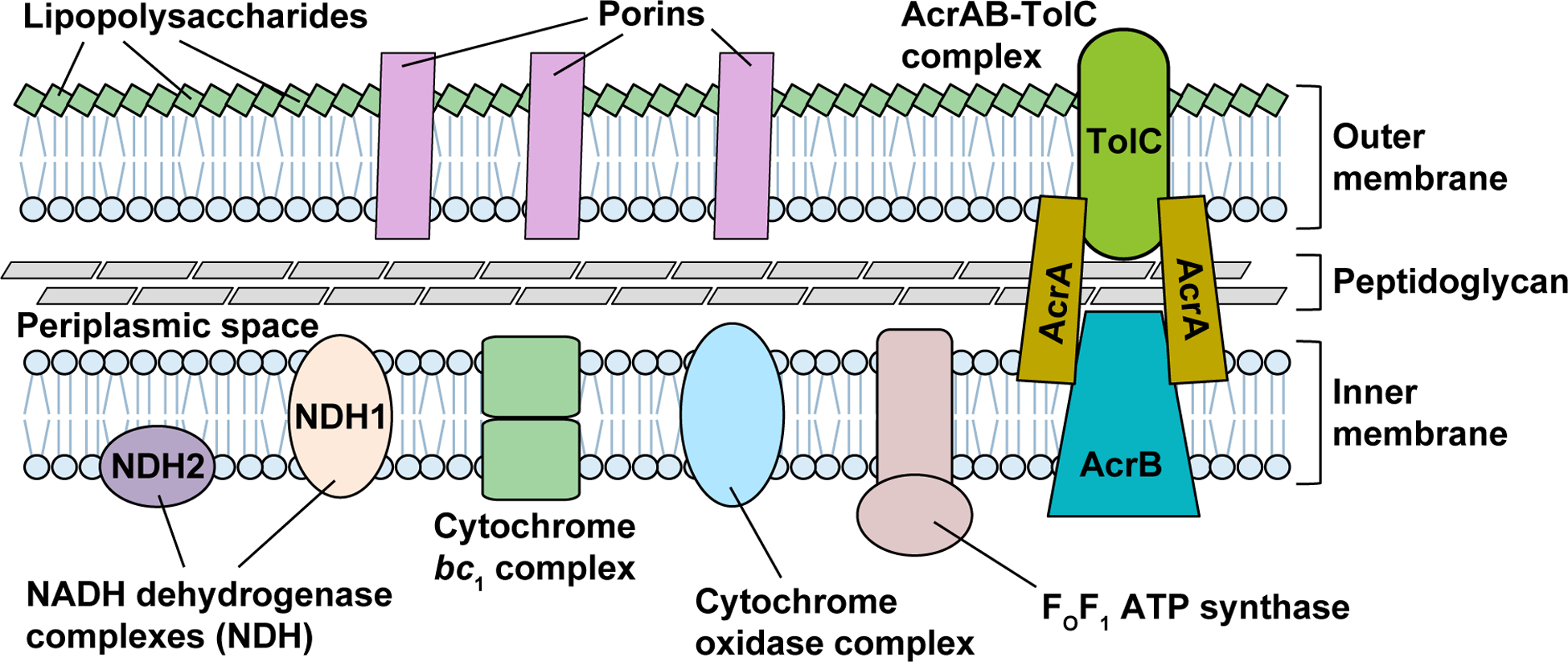 Figure 1: