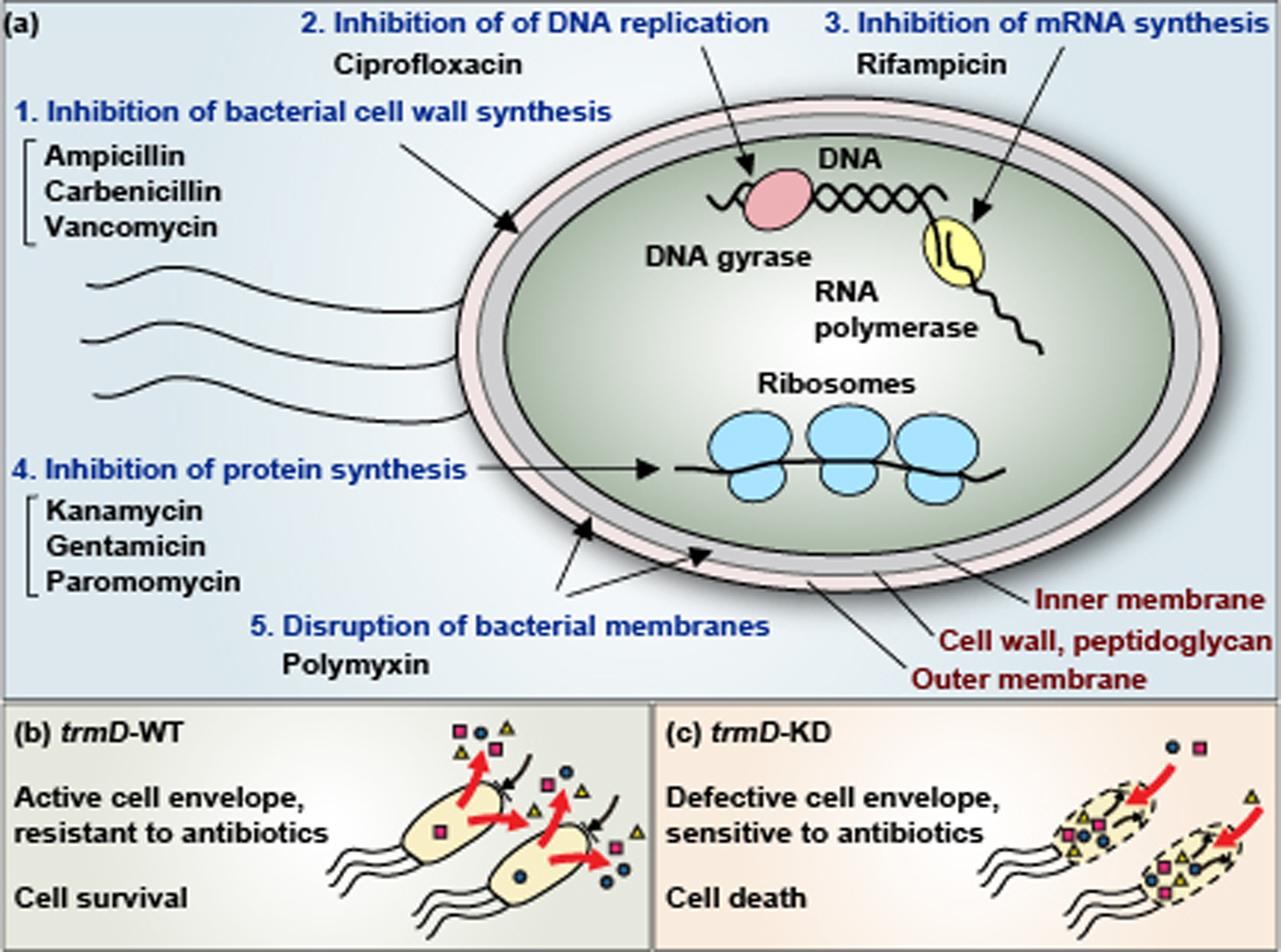 Figure 6: