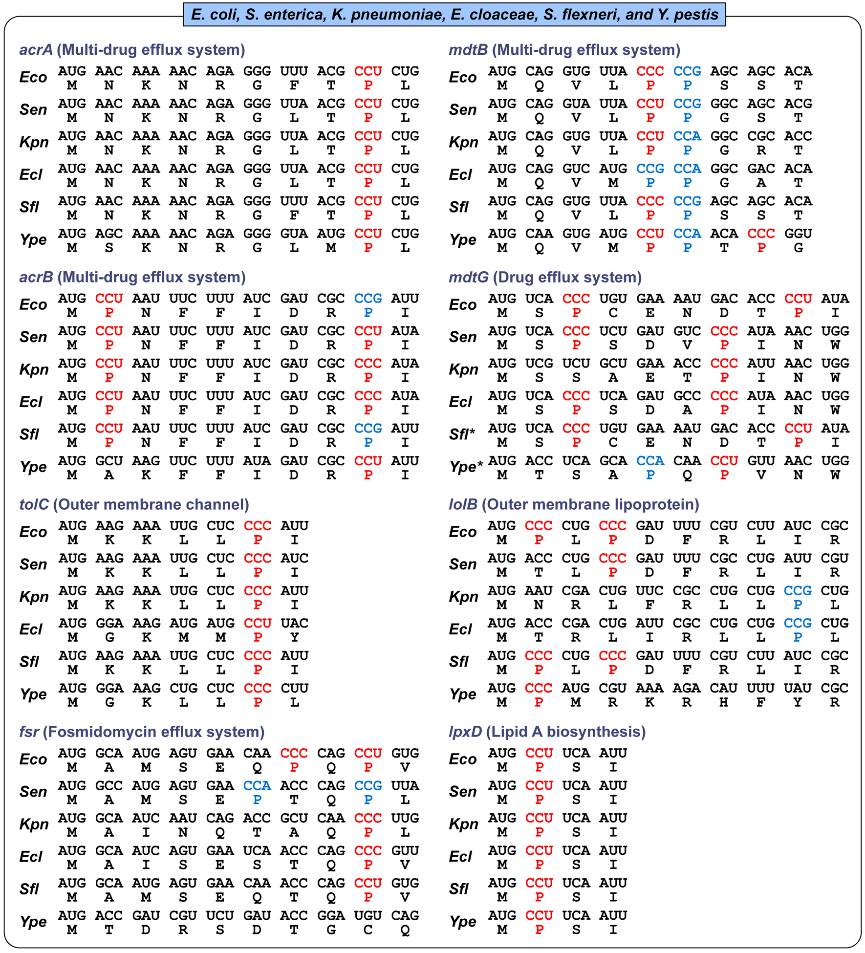 Figure 2: