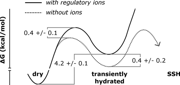 Fig 11