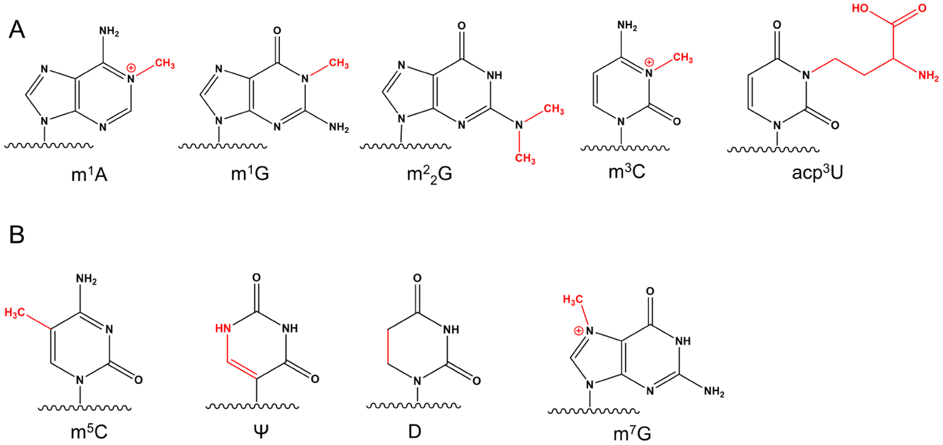 Figure 2: