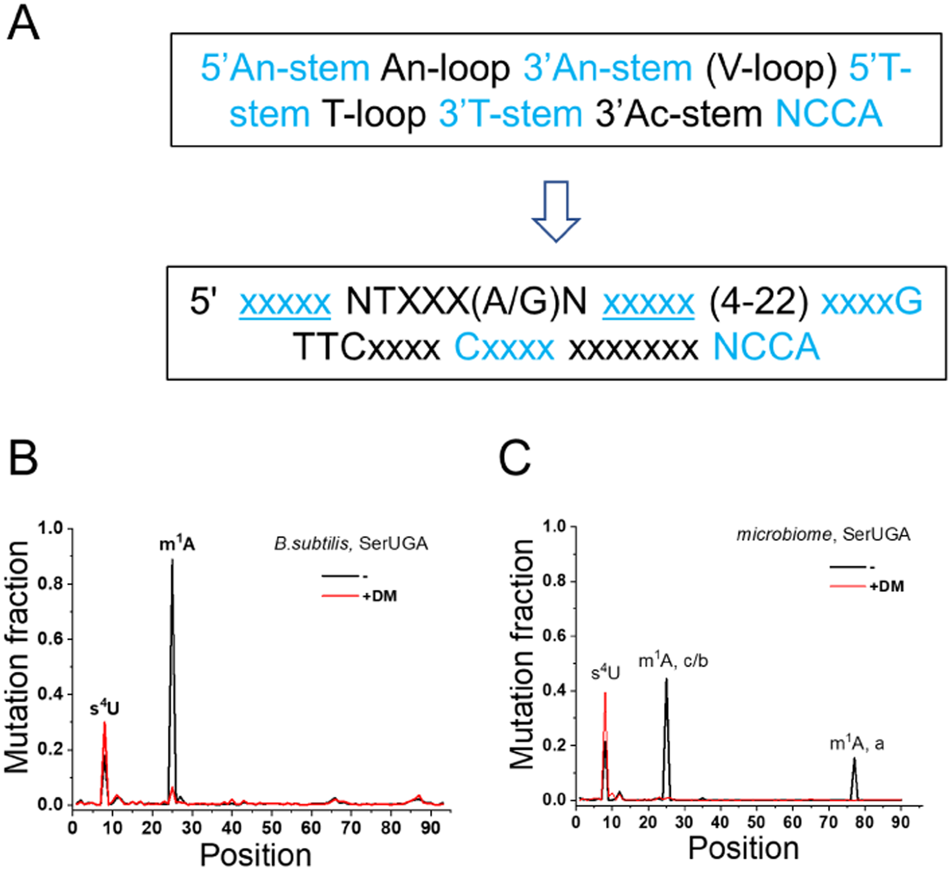 Figure 3: