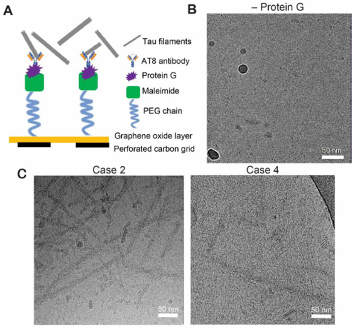 Figure 4: