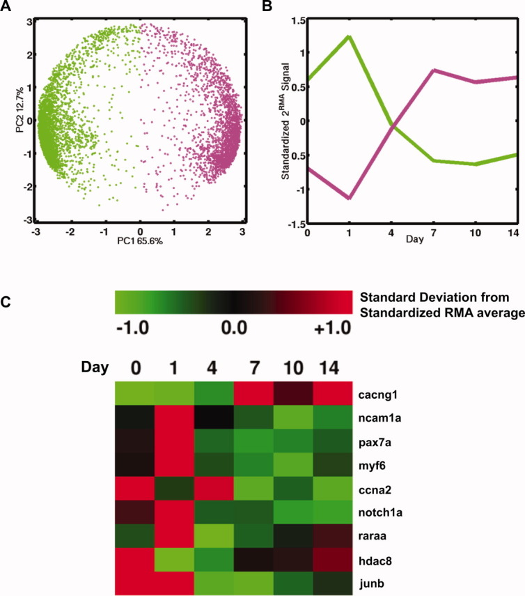 FIGURE 3