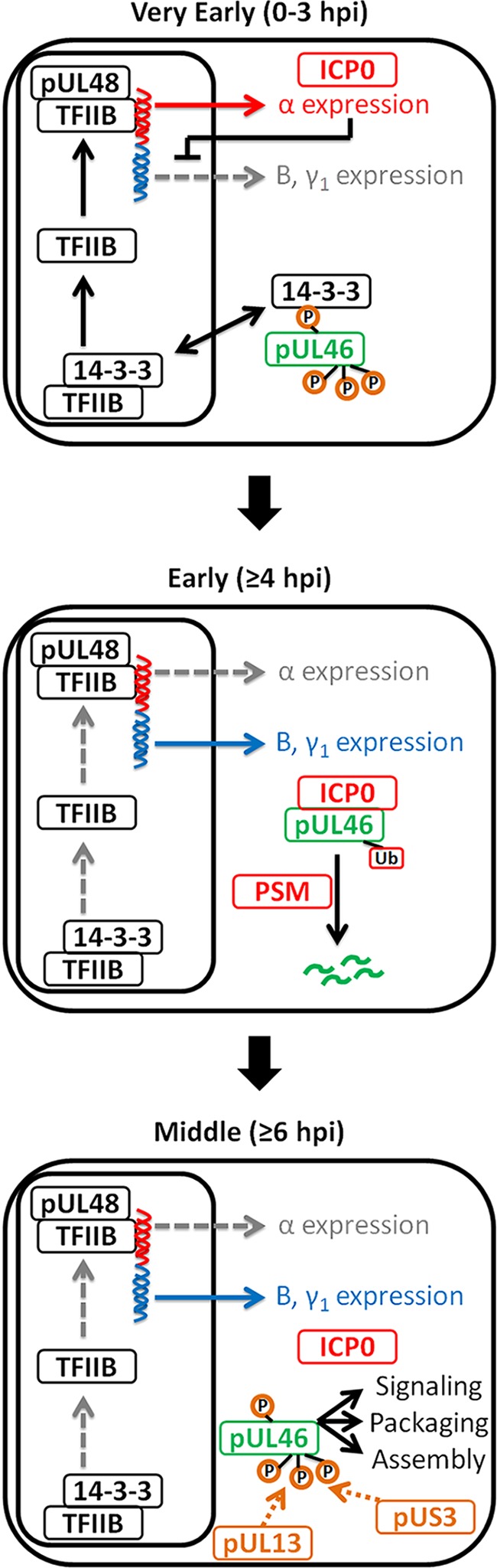 Fig. 8.