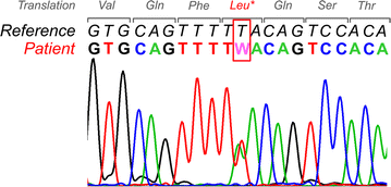 Fig. 6