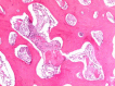Fig. 5