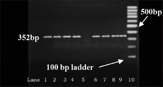 Figure-3