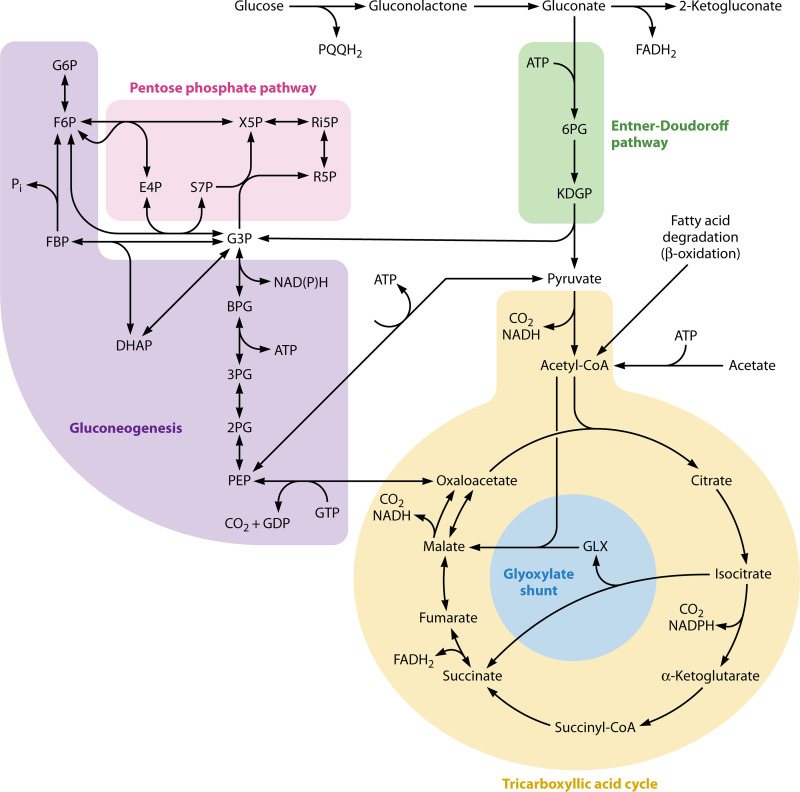 FIG 1