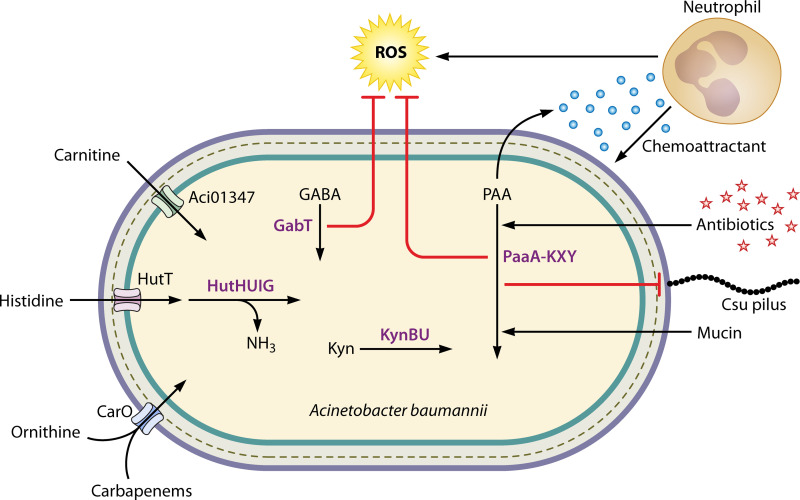 FIG 4