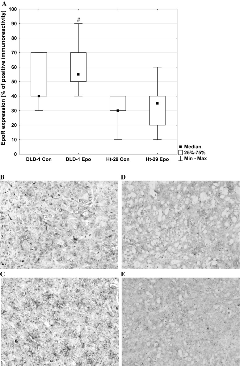 Fig. 8